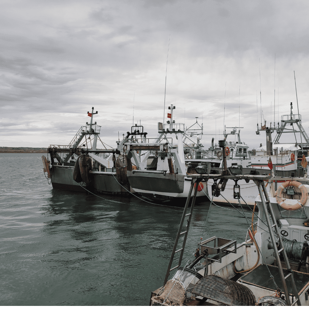 Barcos Parados